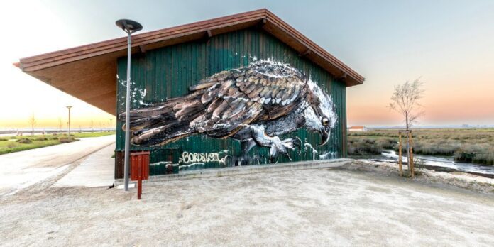 Este Carnaval prolongue a diversão e a folia em Estarreja
