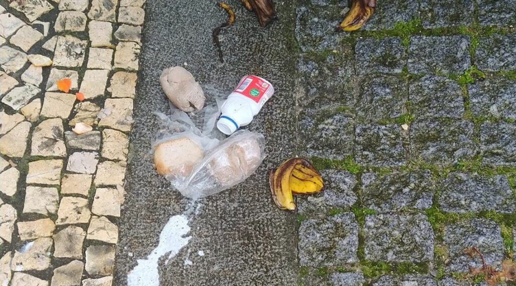 Limpeza no município de Ovar