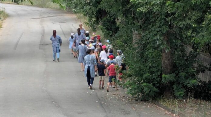 Limpeza no município de Ovar