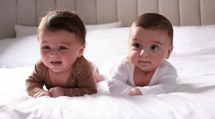 Advogado das Gémeas, avisa…