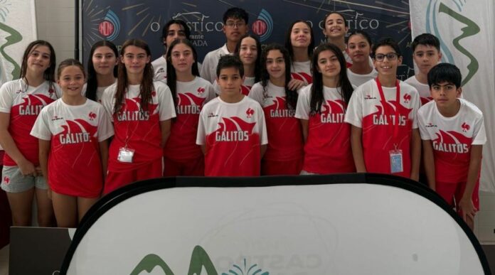 Noticia Taça ANCNP - TAÇA ANCNP GALITOSBRESIMAR VENCE TROFÉU Noticia Taça ANCNP - TAÇA ANCNP GALITOSBRESIMAR VENCE TROFÉU