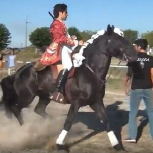 Cavaleiro Marcelo Mendes ataca a cavalo manifestantes contra a tourada na Torreira