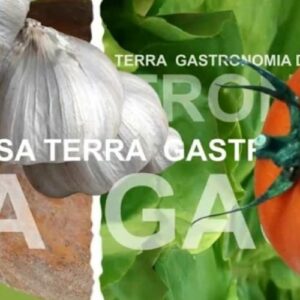O novo programa “Gastronomia da Nossa Terra” esteve na praia da Barra na ”Marisqueira Vouguinha”