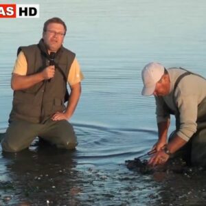 Mariscadores da Ria de Aveiro em "Coisas da Nossa Terra" de Jorge Bacelar