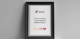A Animalife é agora uma entidade de Utilidade Pública A Animalife é agora uma entidade de Utilidade Pública