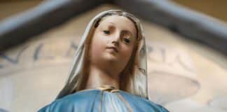 Maria Imaculada e a emergência de uma nova visão do real Maria Imaculada e a emergência de uma nova visão do real