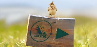 QUERCUS lança livro “Raízes do Futuro” 𝗤𝗨𝗘𝗥𝗖𝗨𝗦 𝗹𝗮𝗻𝗰̧𝗮 𝗹𝗶𝘃𝗿𝗼 “𝗥𝗮𝛊́𝘇𝗲𝘀 𝗱𝗼 𝗙𝘂𝘁𝘂𝗿𝗼”